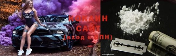 эйфоретик Инта