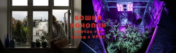 эйфоретик Инта