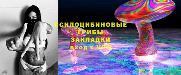ALPHA-PVP Инсар